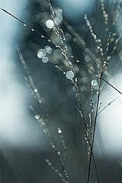 国产悬疑《孙美琪疑案：雨儿胡同》上架Steam 寻找凶案真相